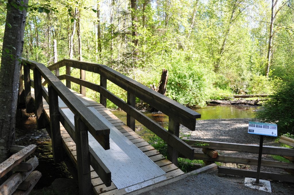 A wooden pedestrian bridge crossing over Morrison Creek. A wooden pedestrian bridge crossing over Morrison Creek.
