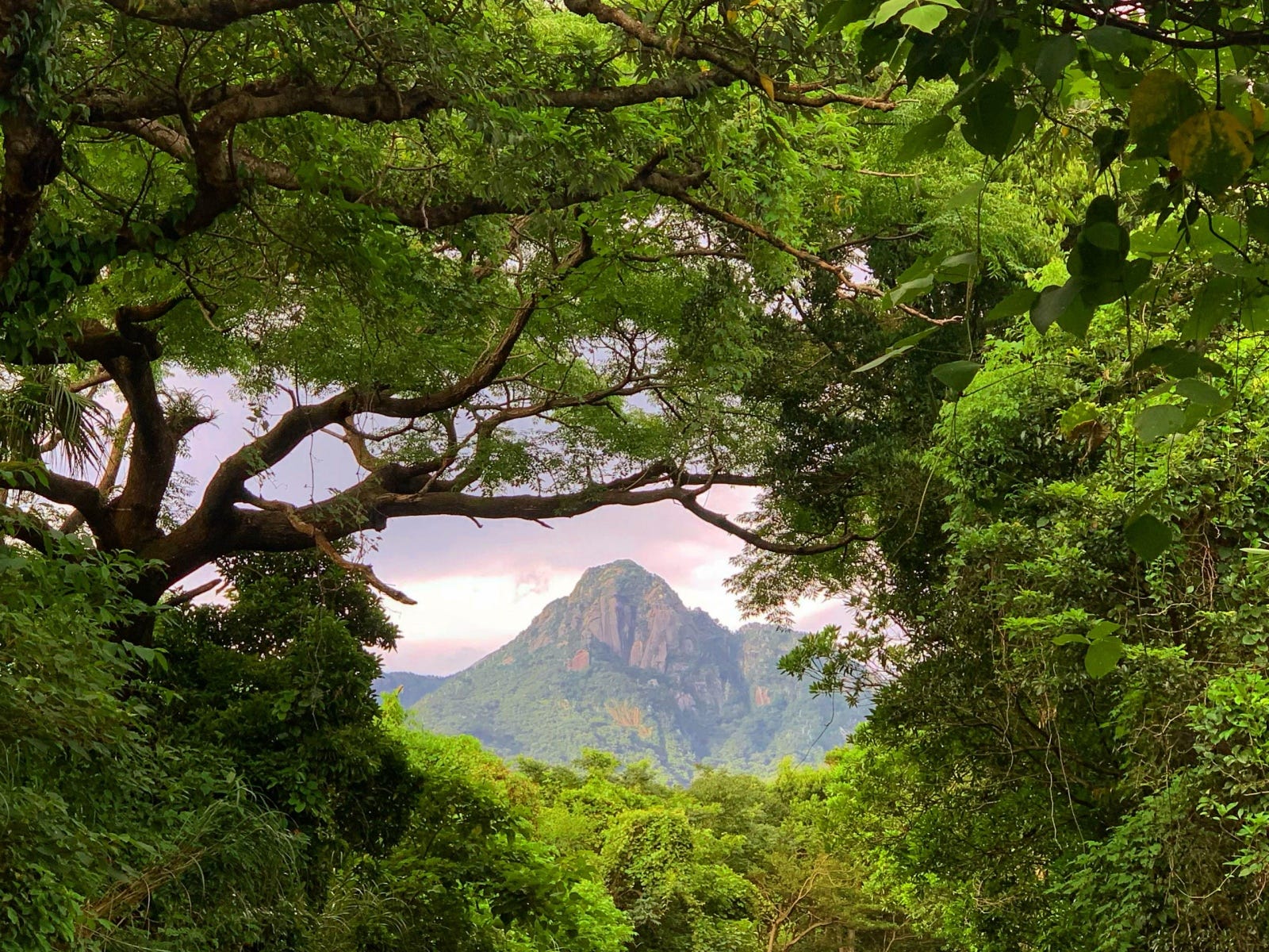 Gone For a Hike - by Burcu Basar - Letters from Japan