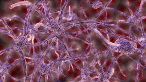 managing complexity