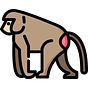 baboon's avatar