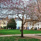 Spring days out around Nottingham — 5 places to visit, plus things to do