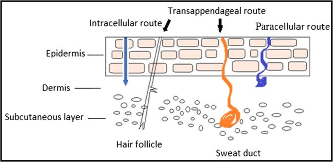 Enhancement of skin permeability with thermal ablation techniques: concept  to commercial products | Drug Delivery and Translational Research
