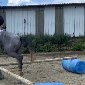 Straight From The Horse's Mouth: Cheridan Scott