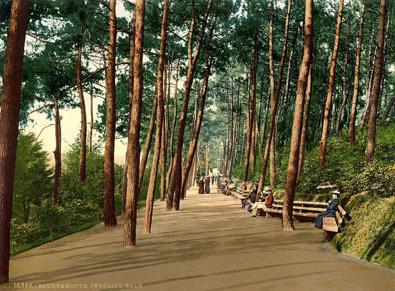 File:Invalids' walk, Bournemouth, Dorset, England, 1890s.jpg File:Invalids' walk, Bournemouth, Dorset, England, 1890s.jpg
