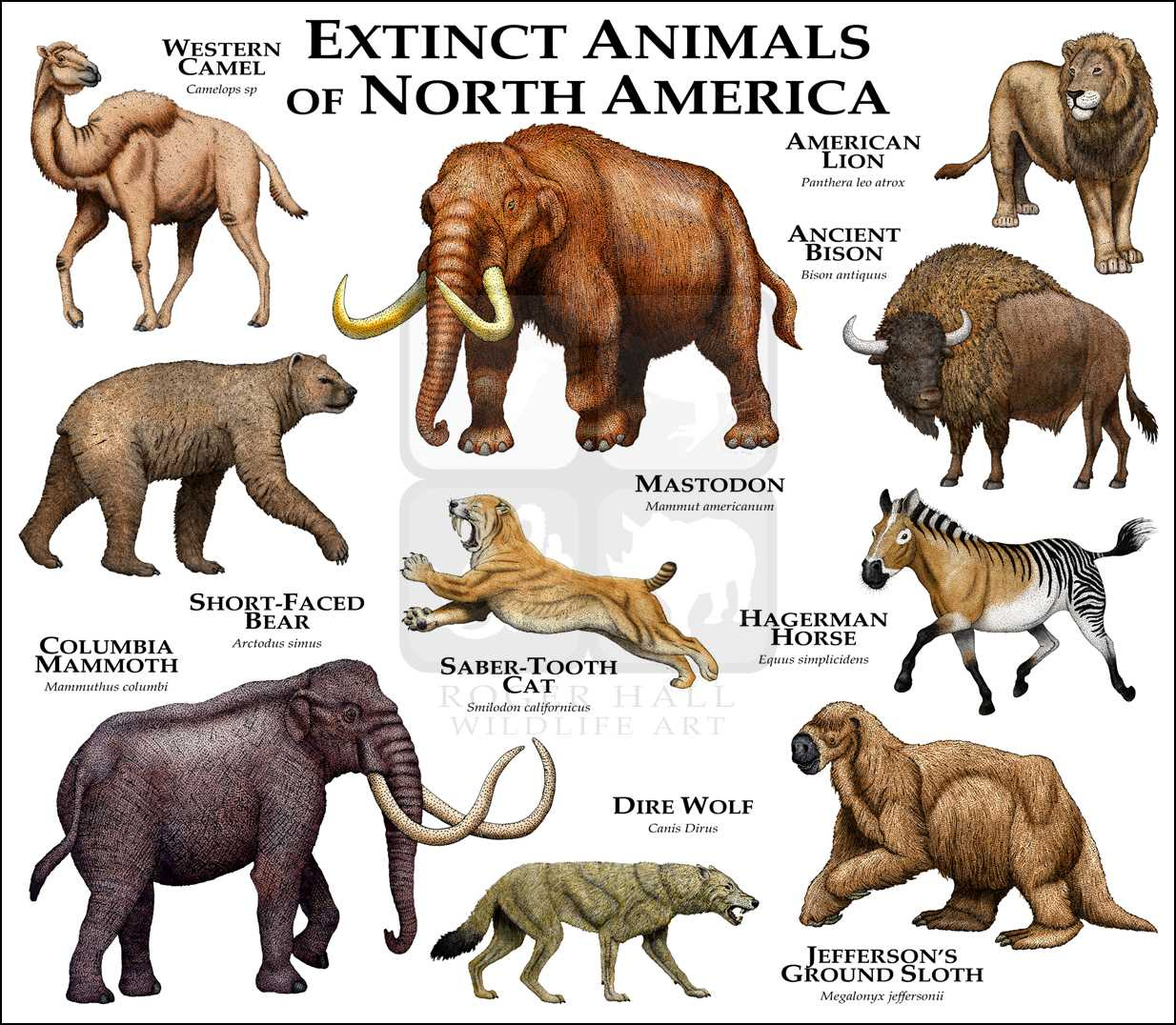 extinct_animals extinct_animals