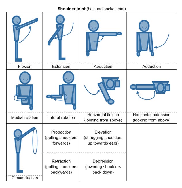 Level 2 Exercise and Fitness Knowledge (5:Joint action) - Amac Training