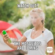 35 Best Summer Memes to Share for ...