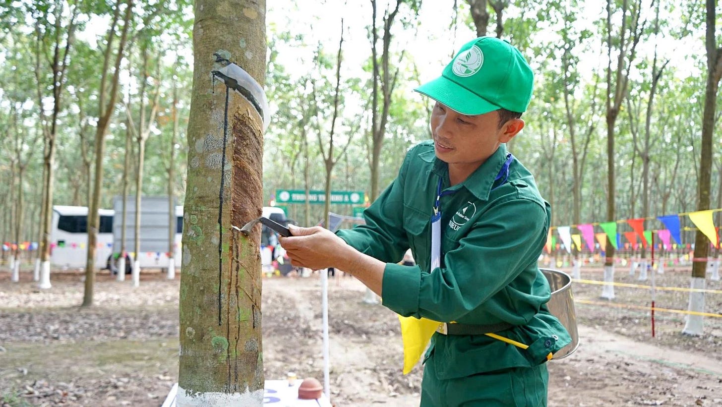 Gọi tên 2 cổ phiếu tiềm năng hưởng lợi từ chuyển đổi đất trồng cây cao su sang khu công nghiệp Gọi tên 2 cổ phiếu tiềm năng hưởng lợi từ chuyển đổi đất trồng cây cao su sang khu công nghiệp