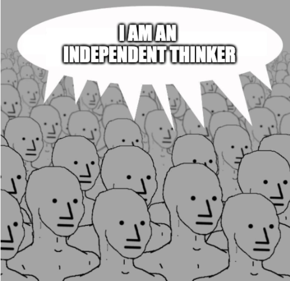 The NPC meme is hilarious because folks I'd call NPCs accuse others of  being NPCs.😂 @G_S_Bhogal in a new essay says (rightly) that we're ALL NPCs  at least some of the time,