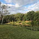 Neurodiversity, meetings and more