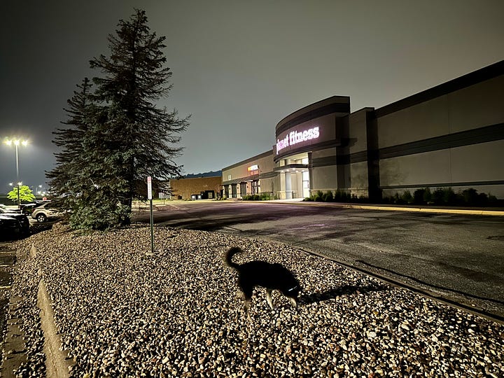 Planet Fitness parking lot; green leaves in Iowa