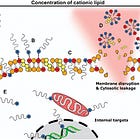 SM-102 und ALC-0315 sind wahrscheinlich nicht biologisch abbaubar und aktivieren das Immunsystem