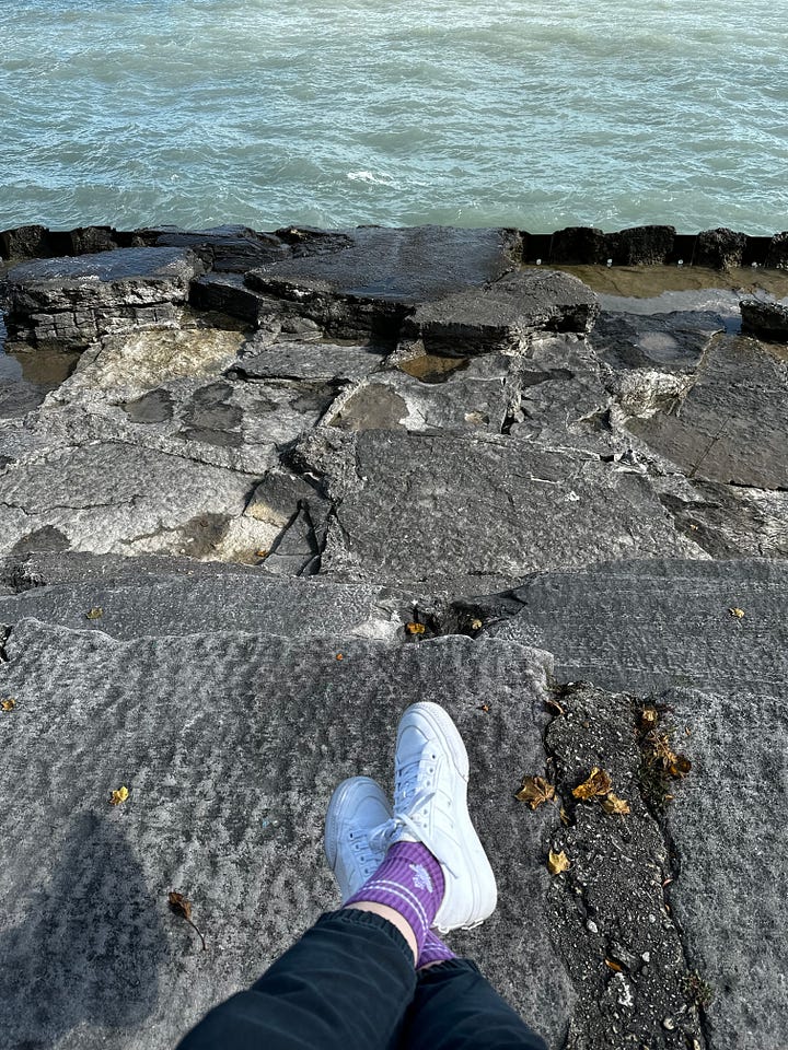 images of Chicago lakefront near foster beach