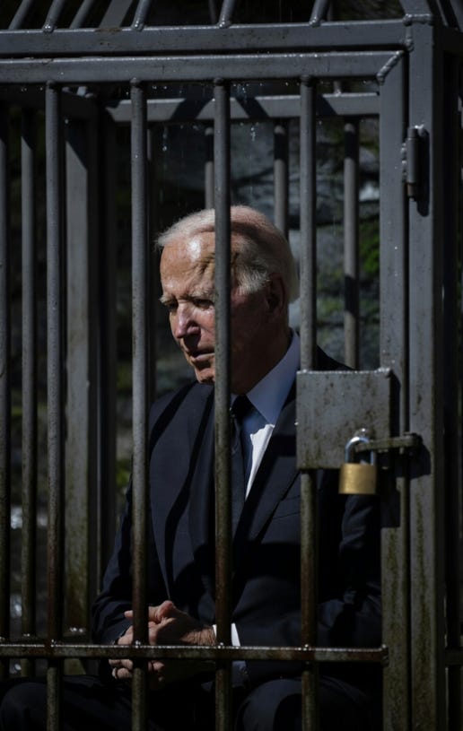 A person in a suit behind bars

AI-generated content may be incorrect.