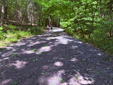 gravel, trees, trail, bench, signs