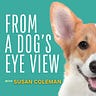 Canine Concierge