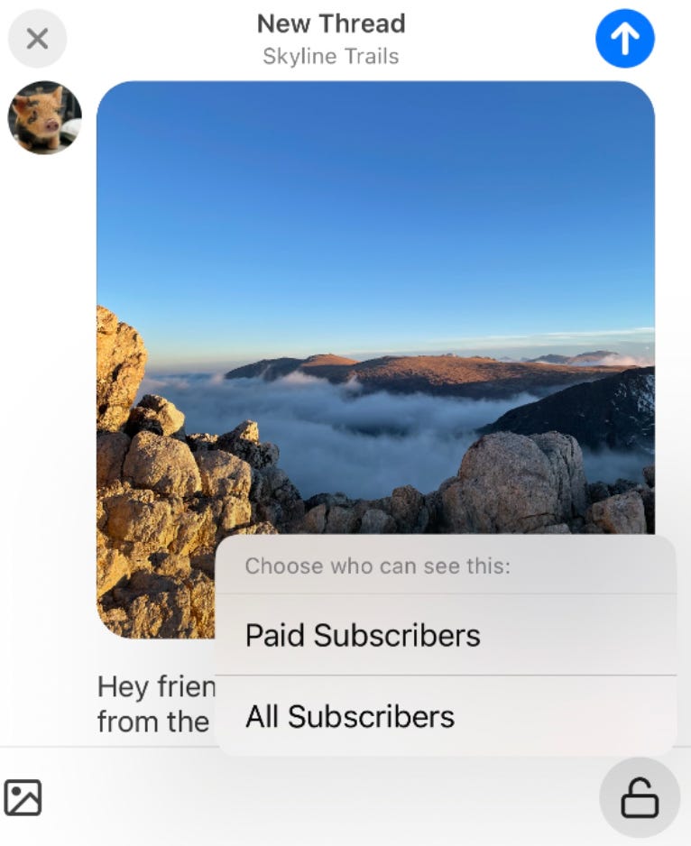 Chat questions answered - On Substack