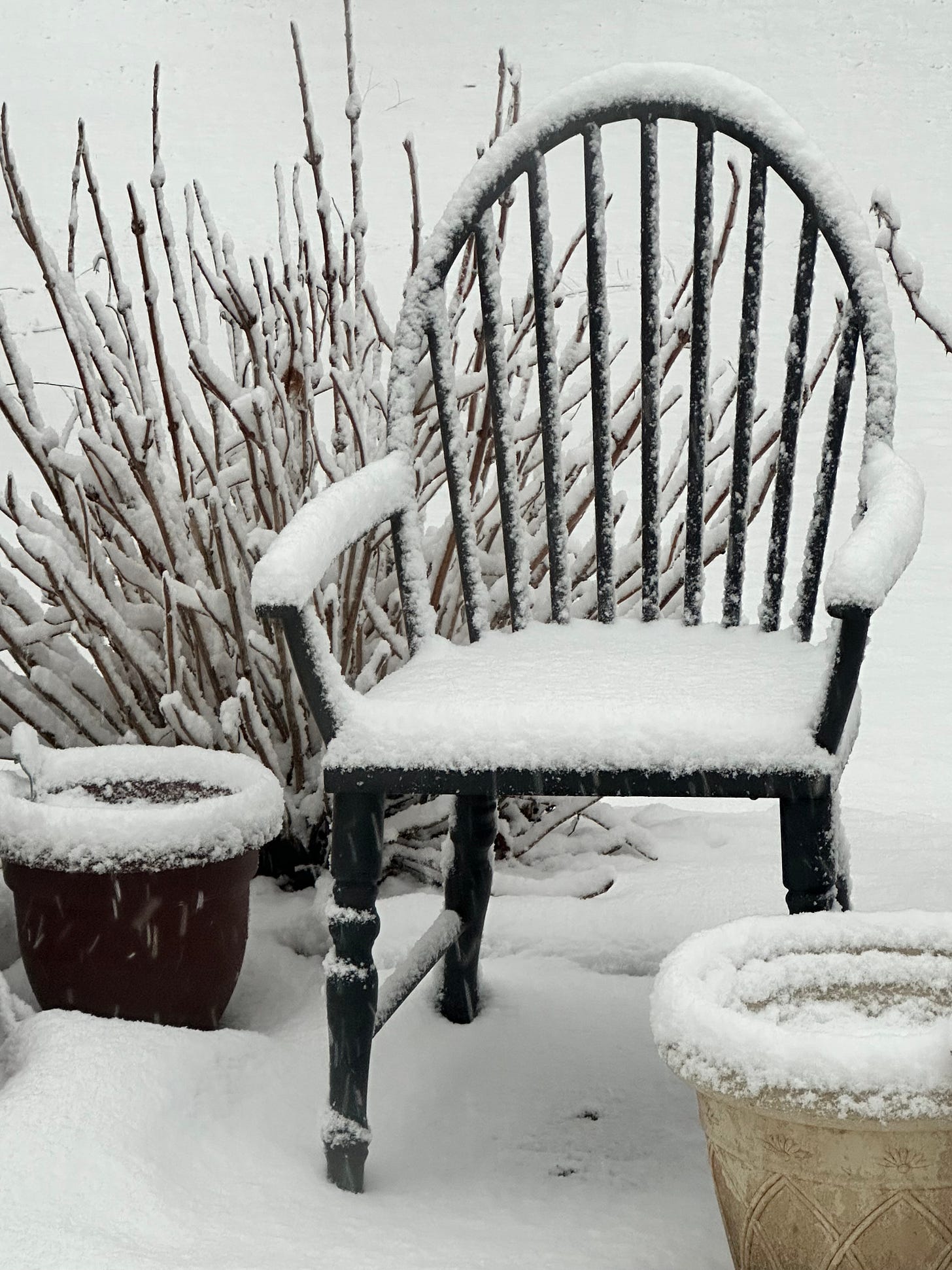 the pots, bushes and patio chair are now covered with a layer of fresh snow