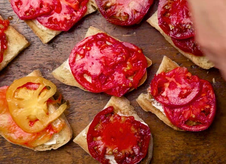 tomato sandwiches video