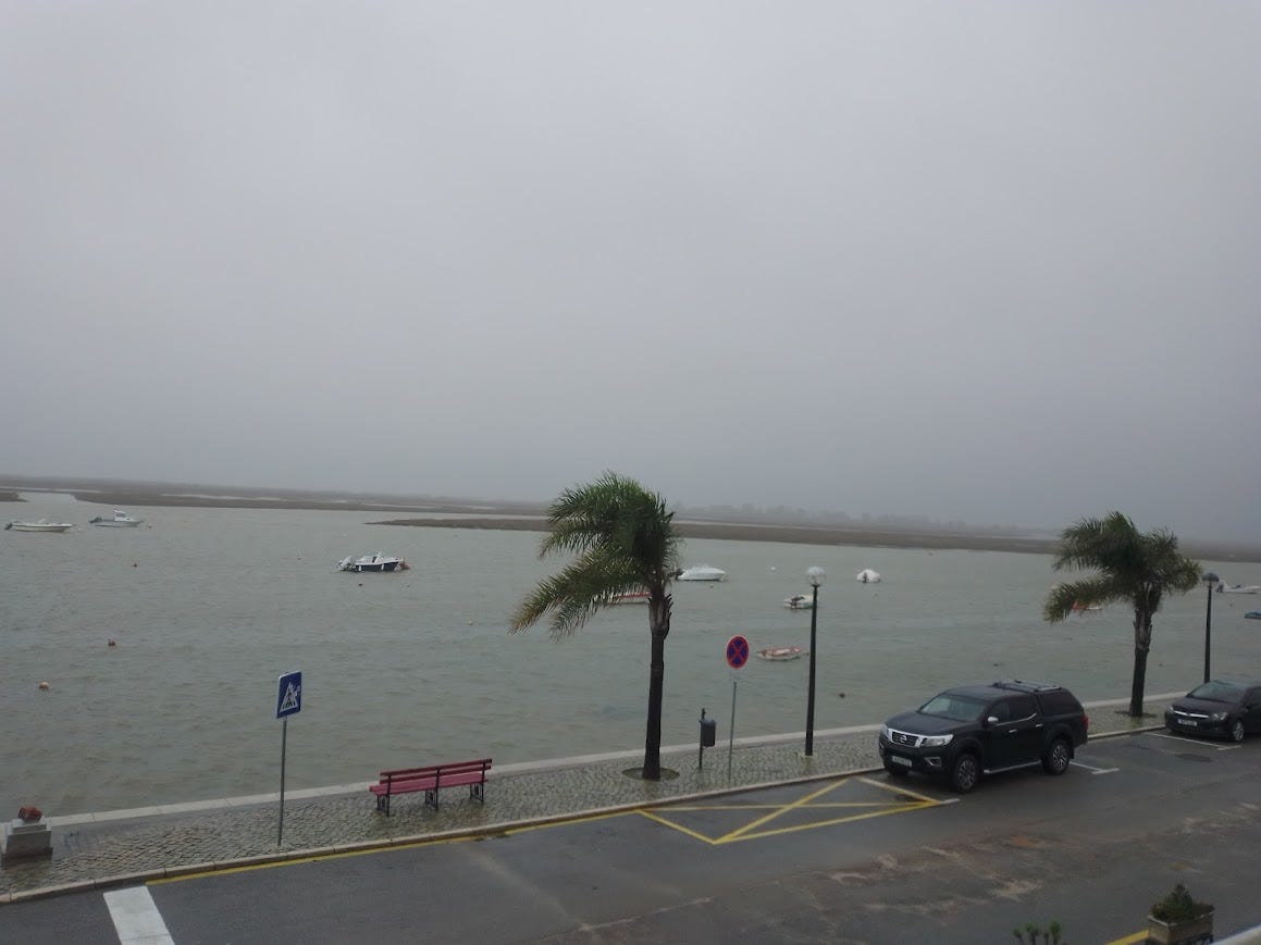 Street scene with the Tavira Channel and barrier island in the background. Overall is grey and gloomy and you can tell the wind is howling because there are two palm trees with their fronds blown sideways. 