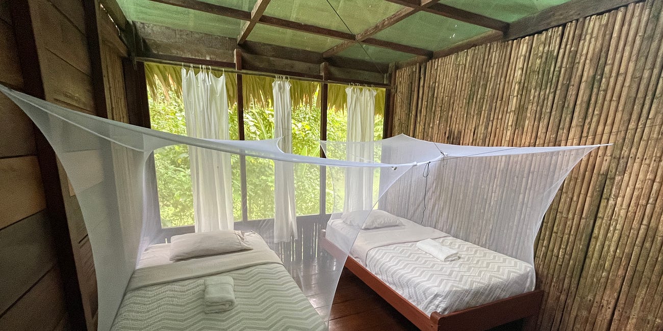 Travel Diary: Iquitos and The Amazon - Part One