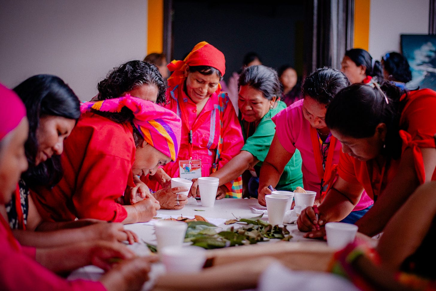 We are Lenca Women - FSC Indigenous Foundation