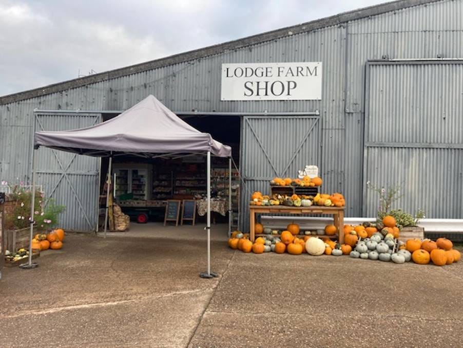 A farm shop with pumpkins in front of it