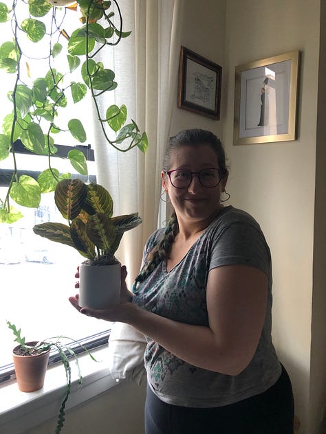 Top right hand corner, going clockwise, is Watson, a sneaky Tabby cat hiding among some plants in a window sill; then you have Jess, a white woman with glasses, holding a small house plant with yellow stripes on its leaves in her hands while another dangles in the window; next is Kim, an asian woman, holding another but larger tabby cat, Charlie, while sitting on a gray couch with plants covering the table in front of her, along with a laptop; next is Watson again, sitting in a pot; bottom-center you see more plants hanging from a window and two more plants flanking the sides of the window; and last many different plants, spiky, tall and leafy in a window sill overlooking a corner bodega.