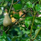 One Author Shopping: Supporting Local Businesses with Your Marketing Budget