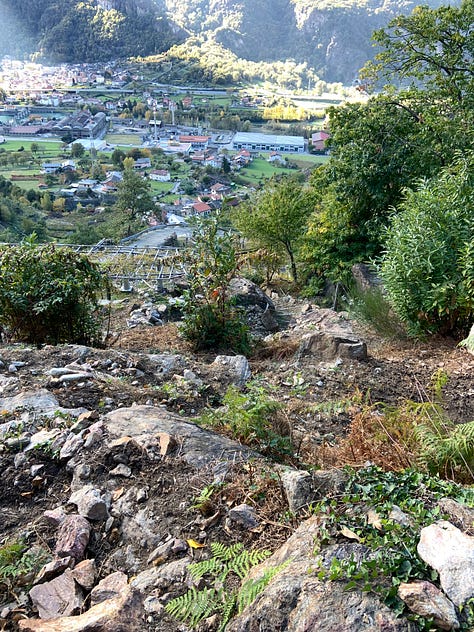 Autumn Walks In The Forests And In The Mountains: The Perfect Escape From City Life