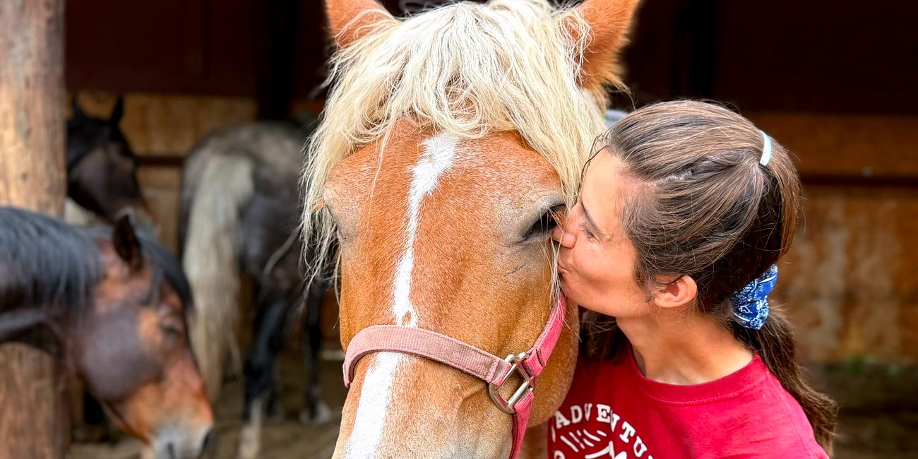 What's Out There? Sacramento Camp & Conference Center