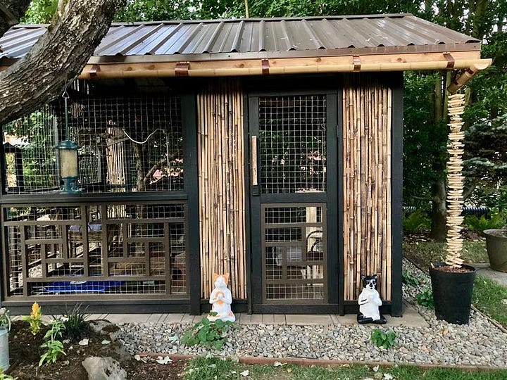 Catios on the Cats Safe at Home tour