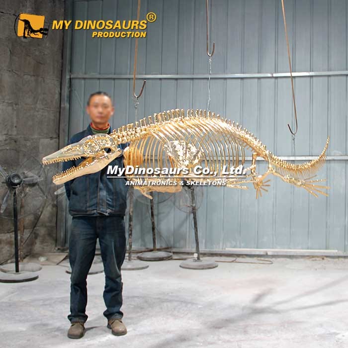 Home Decoration Gold Mosasaur Skeleton for Sale Home Decoration Gold Mosasaur Skeleton for Sale