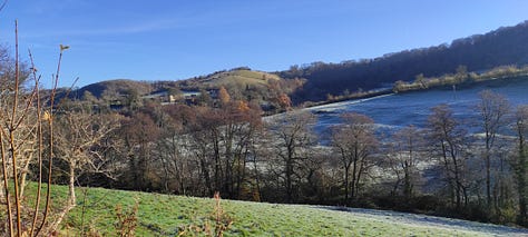 Frosty leaves, frosty fields and autumn woods, white sunbeams coming through bare tree branches