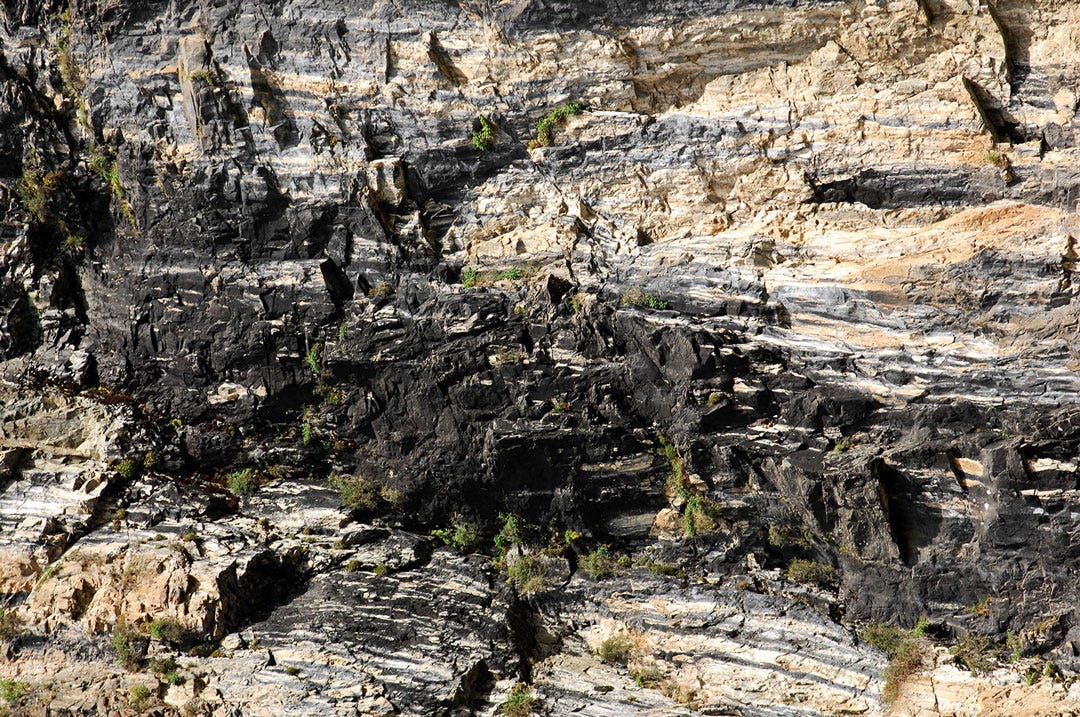 What is Shilajit – Medicinal Foods – Feed Your Potential
