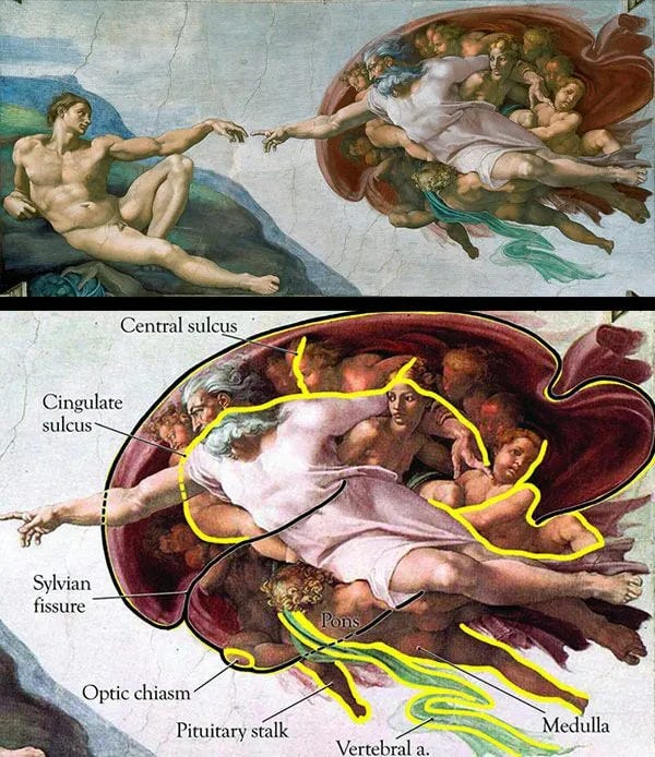 The Mystical Secret in Michelangelo’s Creation of Adam