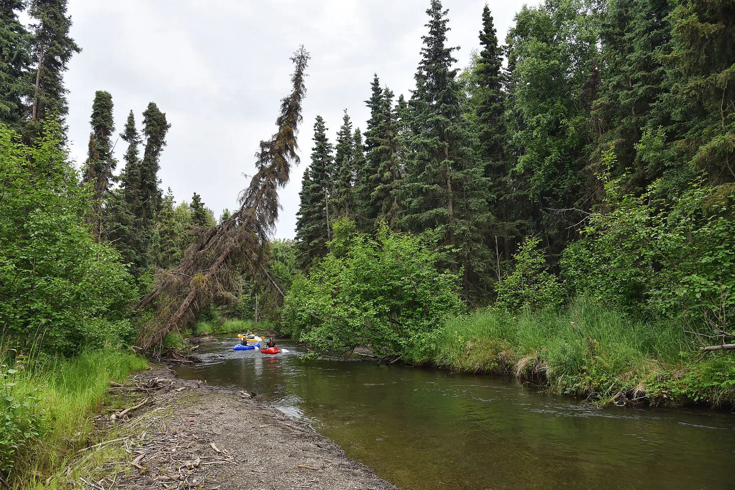 Campbell Creek, Anchorage, Alaska.