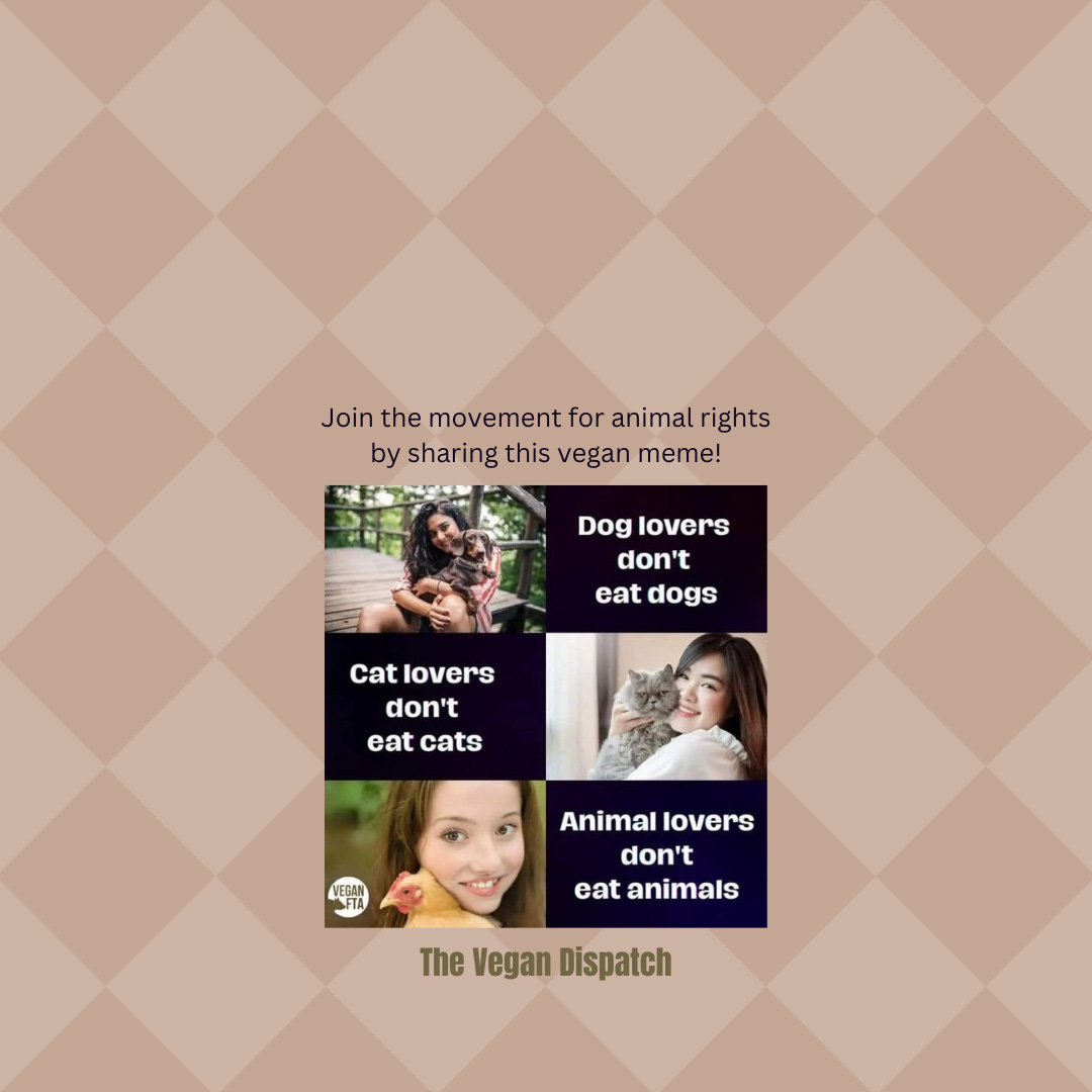 Animal lovers don't eat animals because they value compassion and respect for all living beings. Vegans believe that consuming animals is unethical, causing unnecessary suffering and harm to sentient creatures. Animal lovers don't eat animals because they value compassion and respect for all living beings. Vegans believe that consuming animals is unethical, causing unnecessary suffering and harm to sentient creatures.