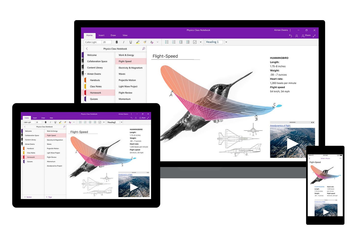 Microsoft brings OneNote 2016 desktop app back to life with new dark mode -  The Verge