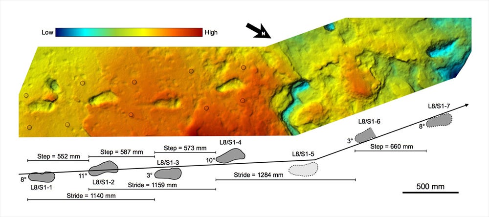 3D model of footprint trail with diagram of steps 3D model of footprint trail with diagram of steps