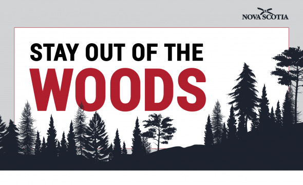 Graphic of black trees and the words Stay out of the Woods