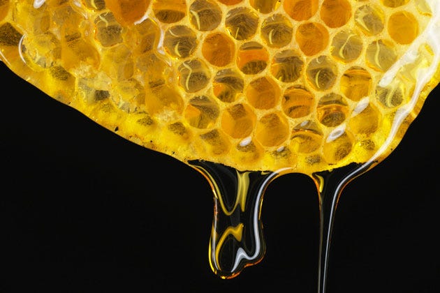 Rise Up, My Love (116): Dripping with Honey – Summer Setting