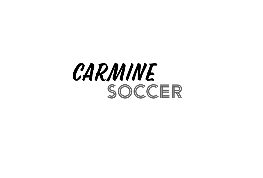 Substack profile picture for @carmine