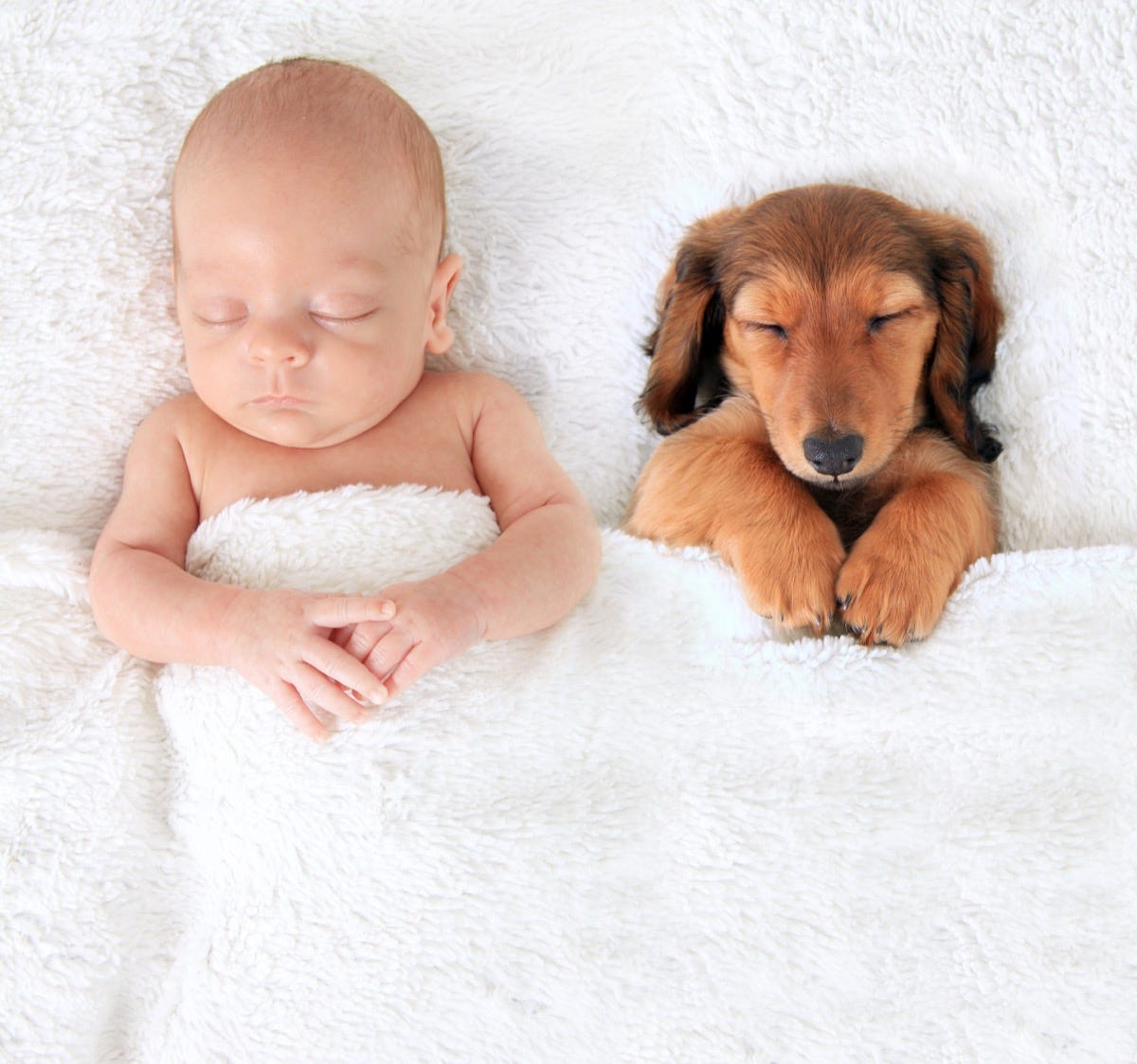 27 Precious Photos of Dogs and Babies That Will Melt Your Heart