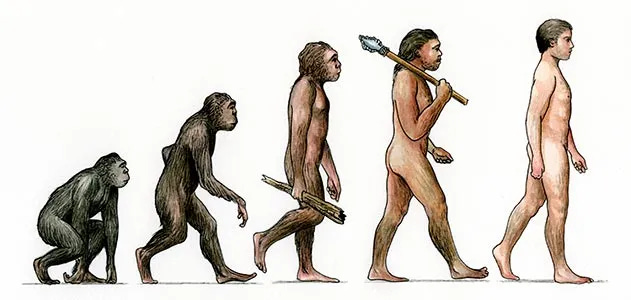The Top Ten Daily Consequences of Having Evolved | Science| Smithsonian  Magazine