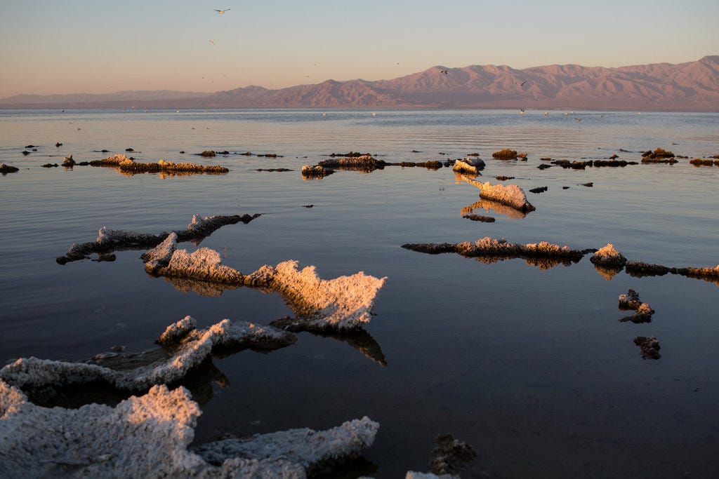 Preserving an Accident, the Salton Sea in California, for the Good of  Nature - The New York Times