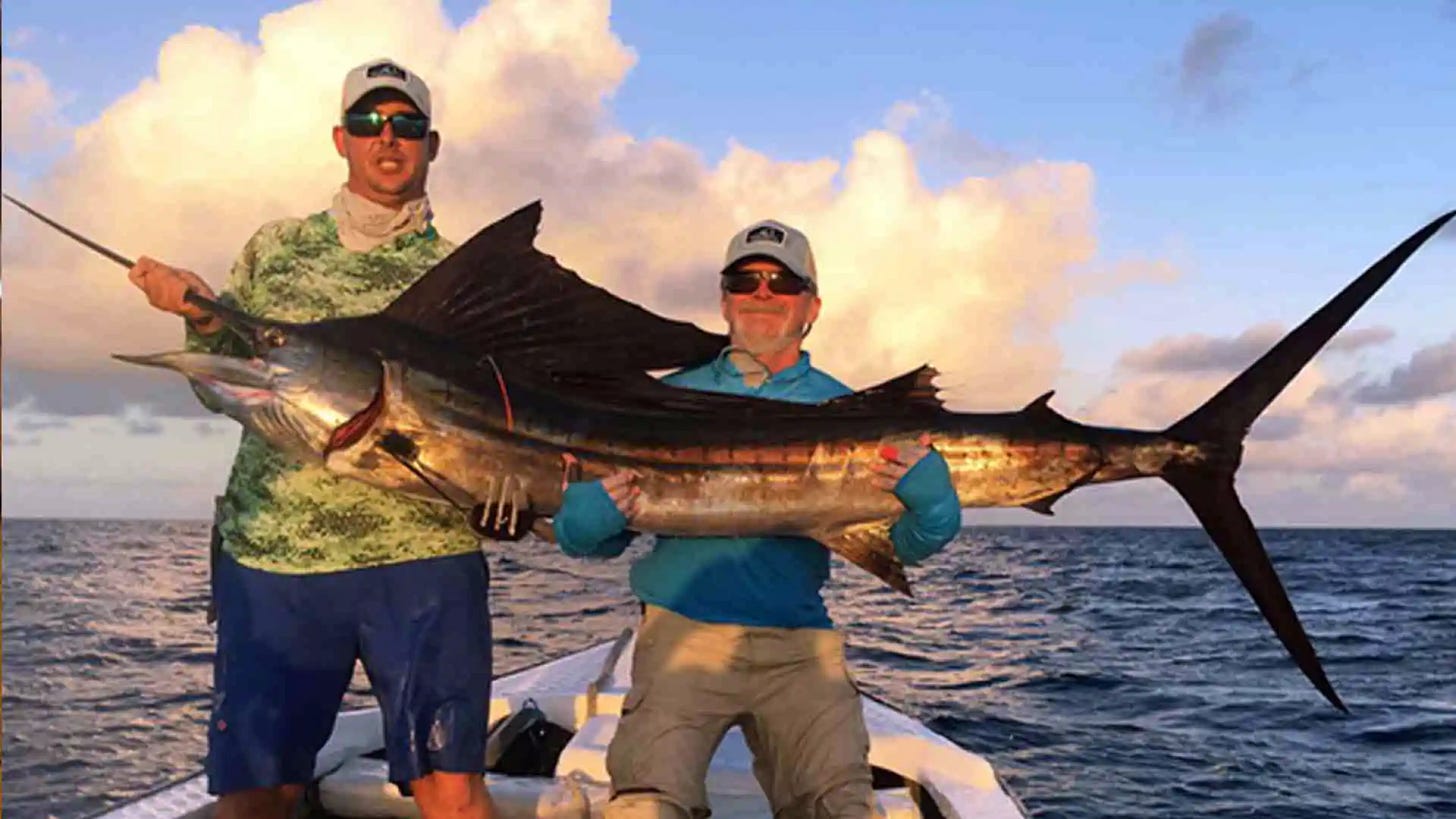 Providence Atoll is known for its abundant sailfish population. On occasion, the Atoll's vibrant blue waters play host to the majestic marlin - adding to the allure of this incredible fishing destination.