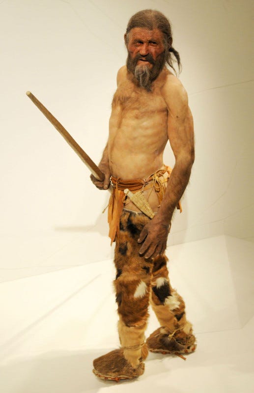 When life gives you glaciers and gastrointestinal parasites, just chew on some prehistoric penicillin. Ötzi knew the shroom boom before it was cool!