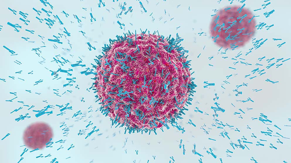 Novel antibody tests reveal complexity of immune response to covid-19