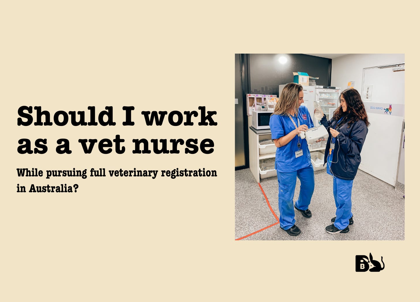 Everything about the Australian vet exam, Australian veterinary exam preparation, A Step-by-Step Guide to Ace Your Australian Veterinary Exam: Expert Tips and Strategies australian vet membership exam, australian veterinary exam, Australian veterinary exam preparation, Australian vet exam, australia veterinary board, australian veterinary exam fee Australasian veterinary exam